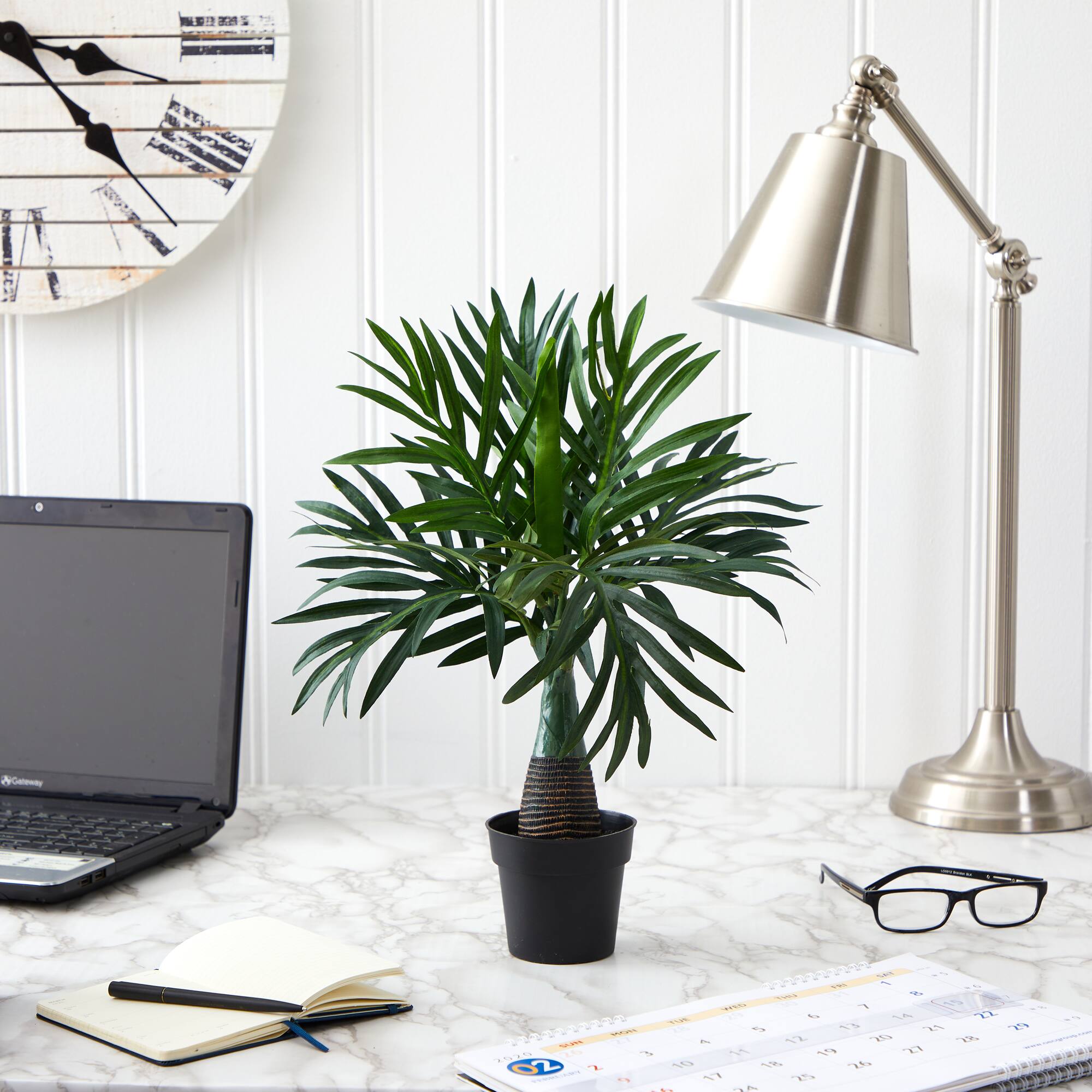 15.5" Potted Mini Areca Palm Plant